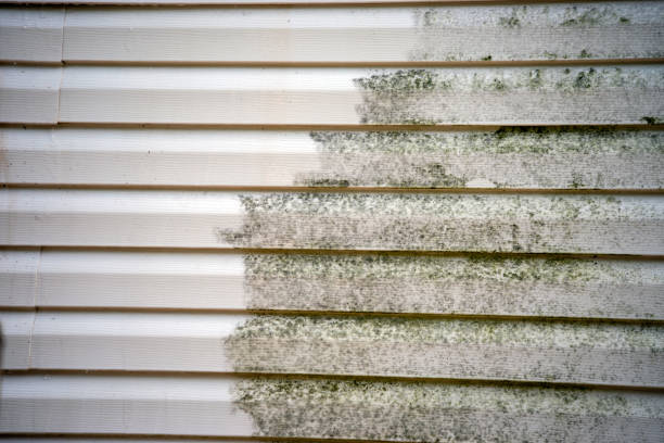 Best Hoarding Cleanup  in Hidden Valley, IN